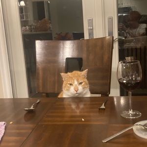 Meet your Posher, Kai